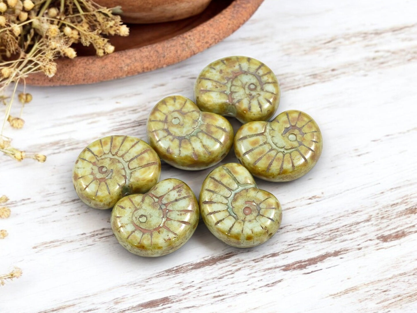 *6* 17x12mm Beige Khaki Picasso Ammonite Snail Shell Beads