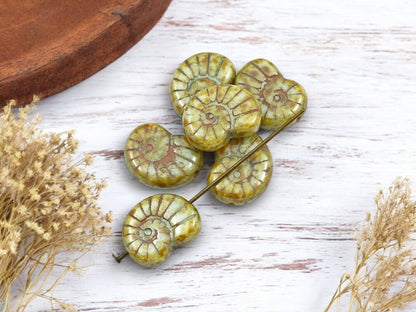 *6* 17x12mm Beige Khaki Picasso Ammonite Snail Shell Beads