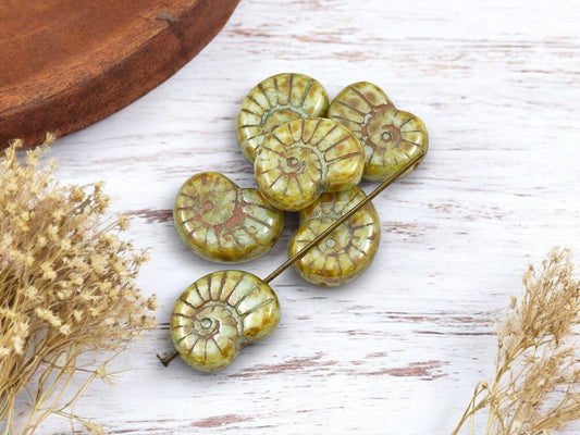 *6* 17x12mm Beige Khaki Picasso Ammonite Snail Shell Beads