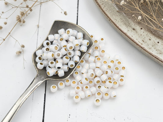 15G Silver Lined Cloud Toho 6/0 Seed Beads - PF2101