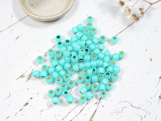 15G Silver Lined Teal Toho 6/0 Seed Beads - PF2104