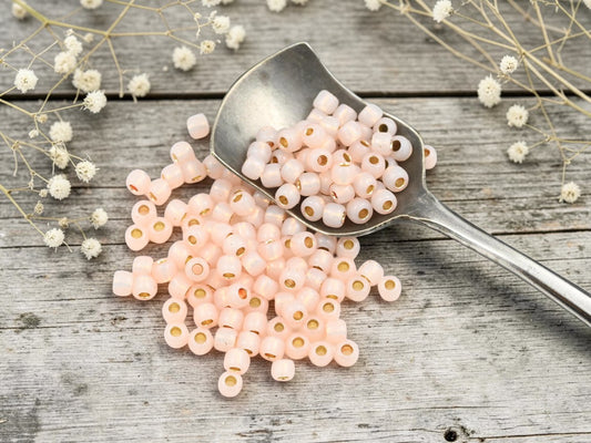 15G Silver Lined Peachy Pink Toho 6/0 Seed Beads - PF2126