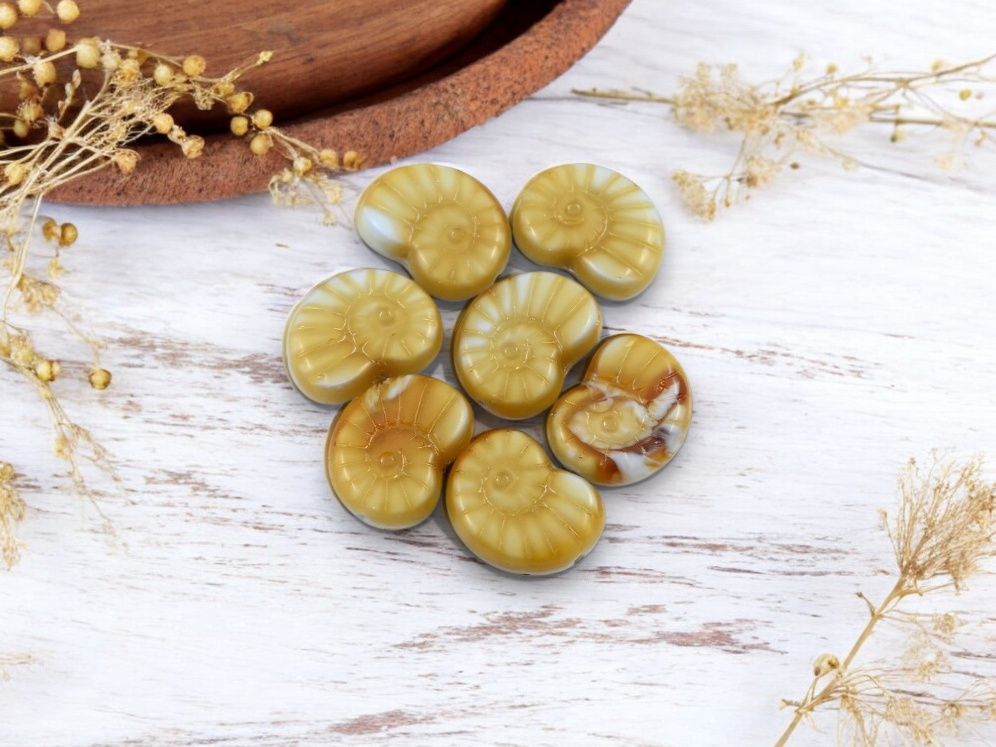 *6* 12x17mm Beige Periwinkle Ammonite Snail Shell Beads – Gr8Bead's ...